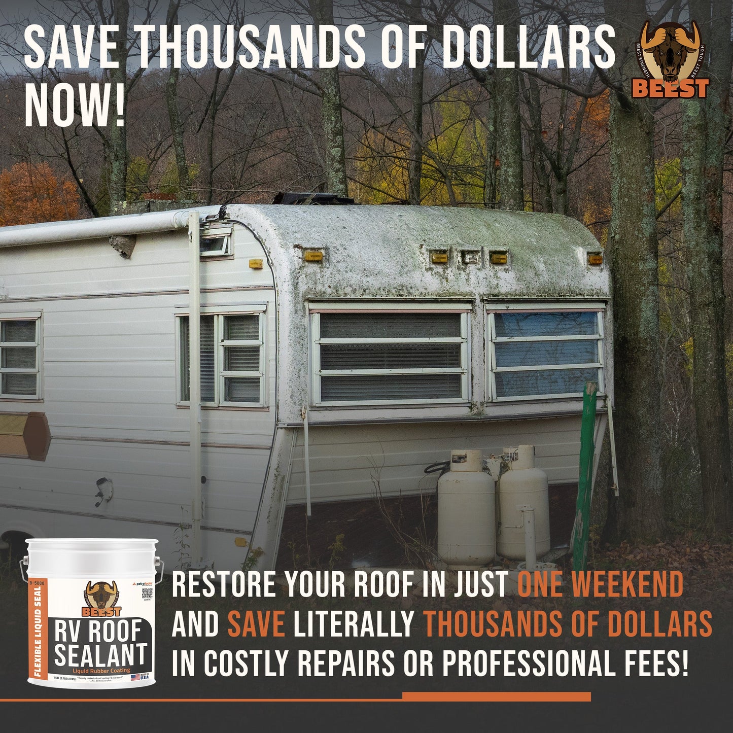 BEEST RV Roof Sealant (Liquid Rubber Coating)